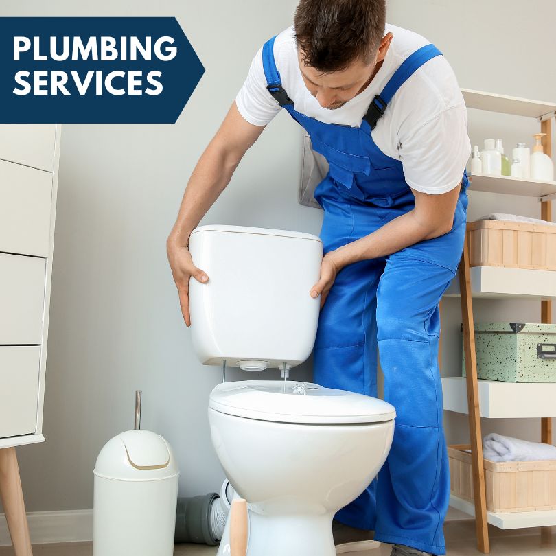 Plumbing Company in Omaha, IL